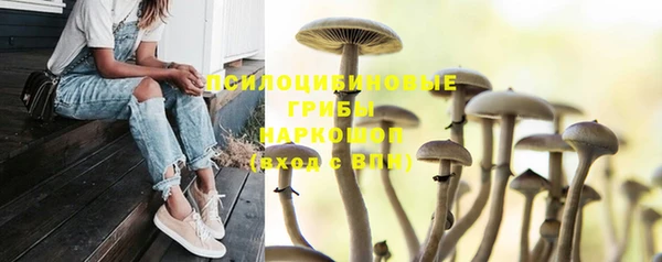 соль курить ск Алексеевка